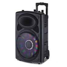 Professioneller 12-Zoll-Lautsprecher mit Bluetooth, USB / SD / Mikrofoneingängen und UKW-Radio 6814D